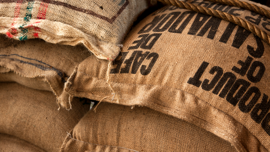 Making the Cut: An Insight into Coffee Selection
