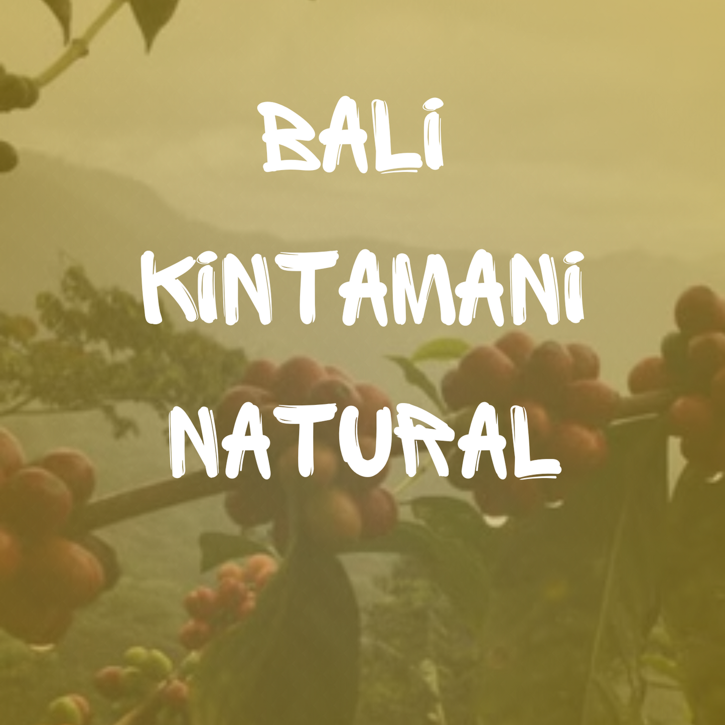 Bali Kintamani Natural
