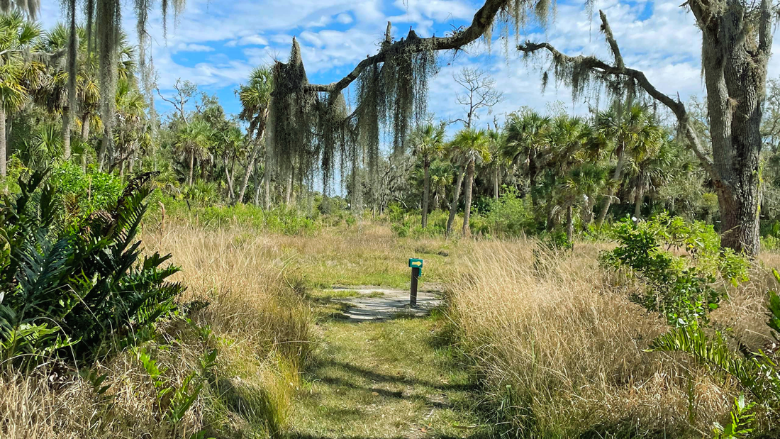 Nature is Feral: Come Enjoy It With Us