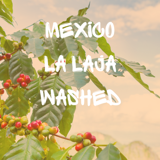Mexico La Laja Washed
