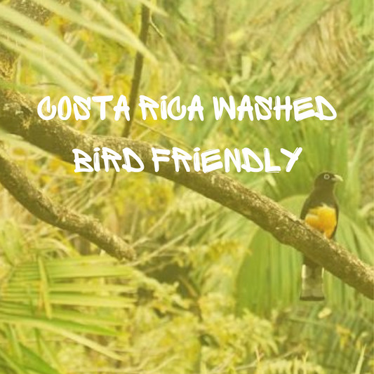 Costa Rica Washed - Bird Friendly