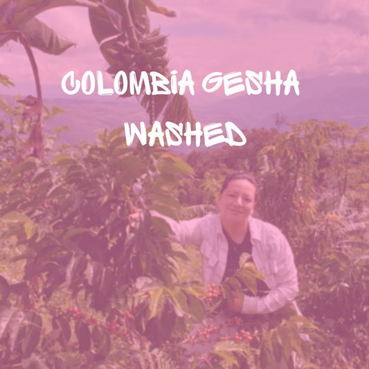 Colombia Gesha Washed - Small Batch