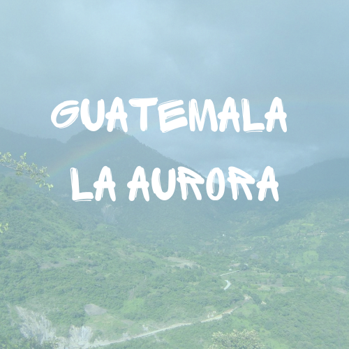 Guatemala Specialty Coffee